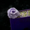 Marcapáginas de rosa lila tejido a crochet