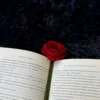Marcapáginas de rosa roja tejido a crochet