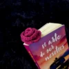 Marcapáginas de rosa rosada tejido a crochet